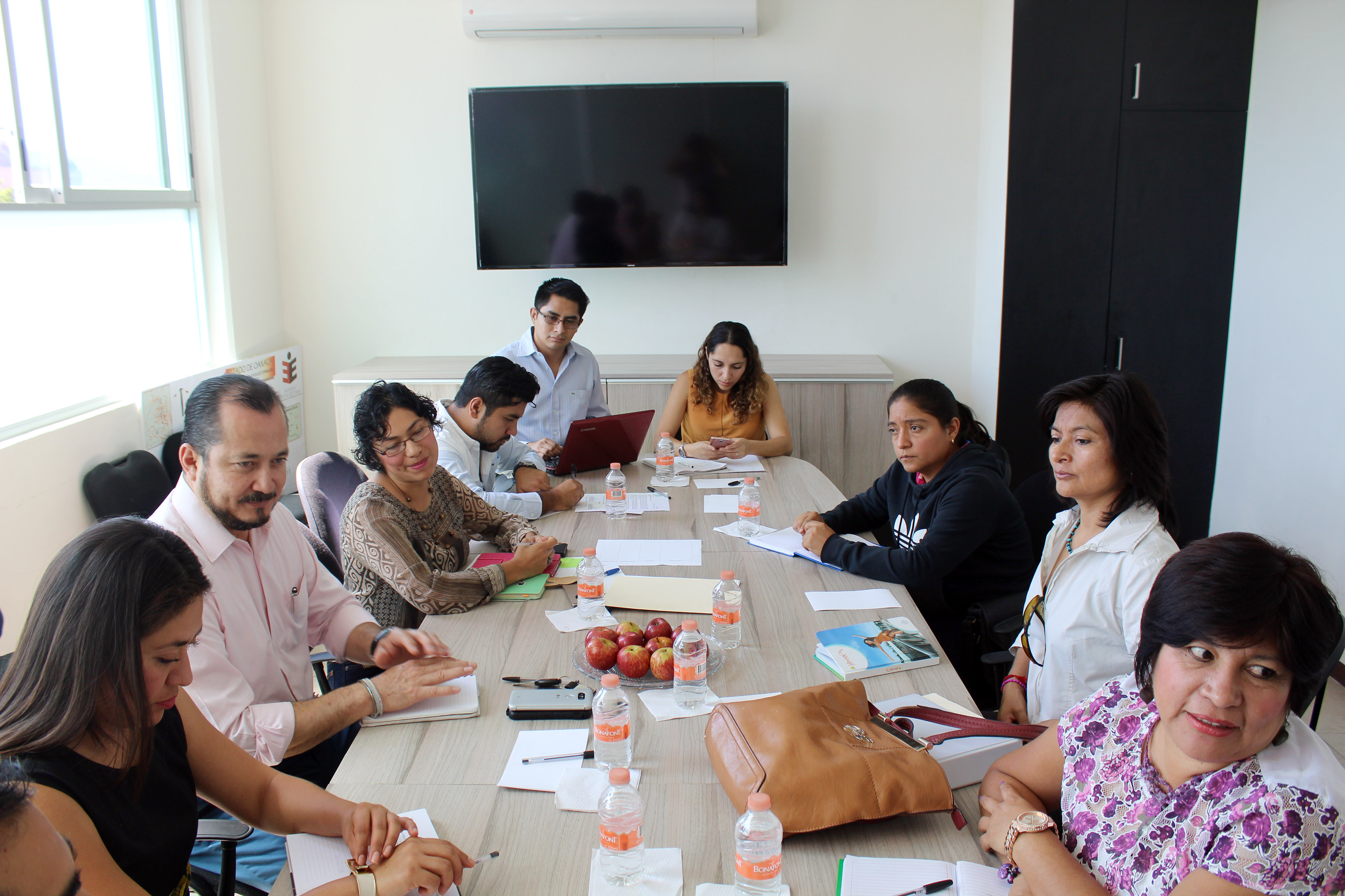 Observatorio Electoral de Género